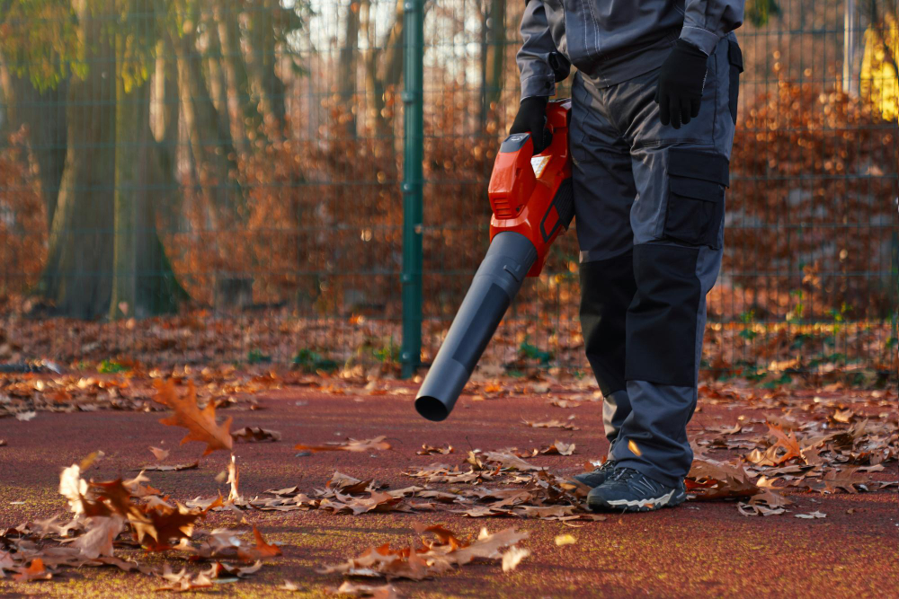 Kaip išsirinkti tinkamą lapų pūstuvą savo sodui?