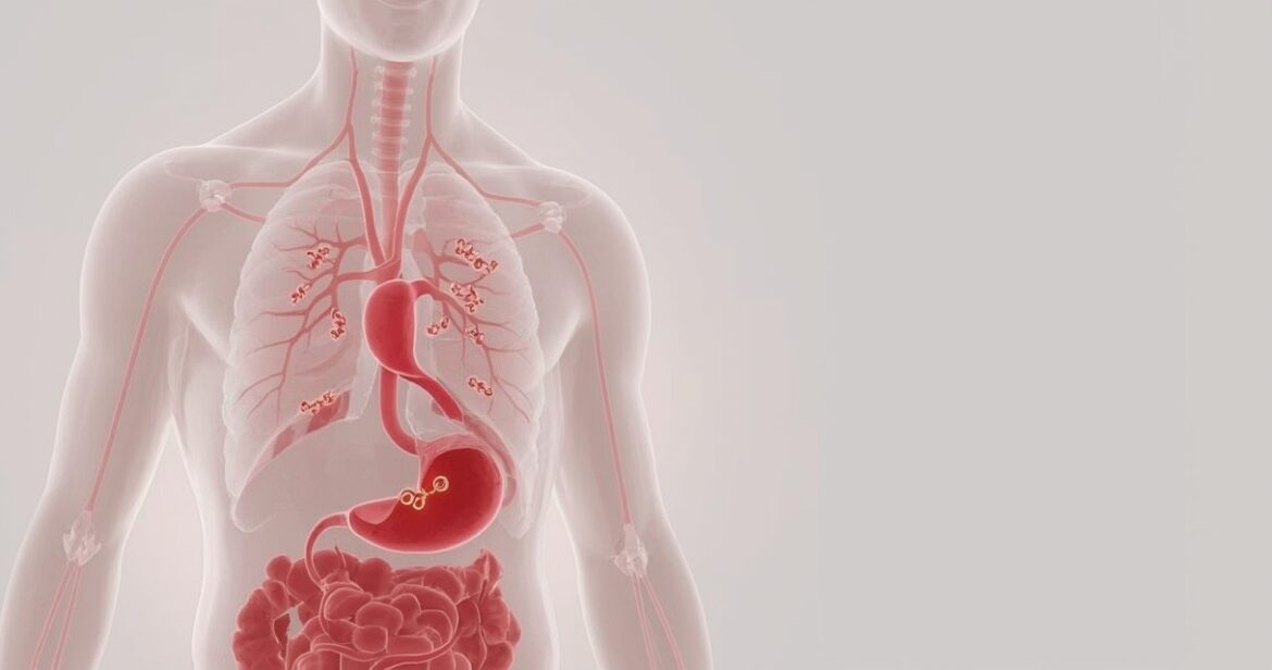 Autoimuninė hemolizinė anemija: gydymas, simptomatika ir rūšys