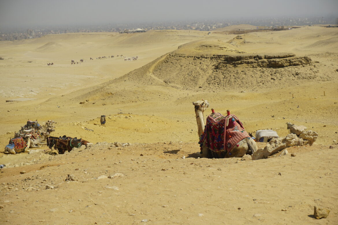 Ar saugu keliauti į Egiptą: ką žinoti prieš išvykstant
