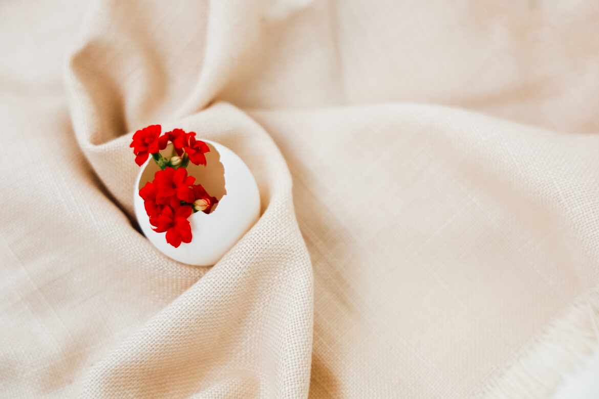 Kas yra Tencel audinys? – Paaiškinta apie tvarias Tencel skaidulas