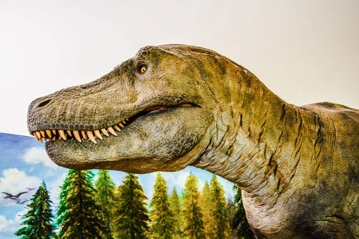 Apie dinozaurus