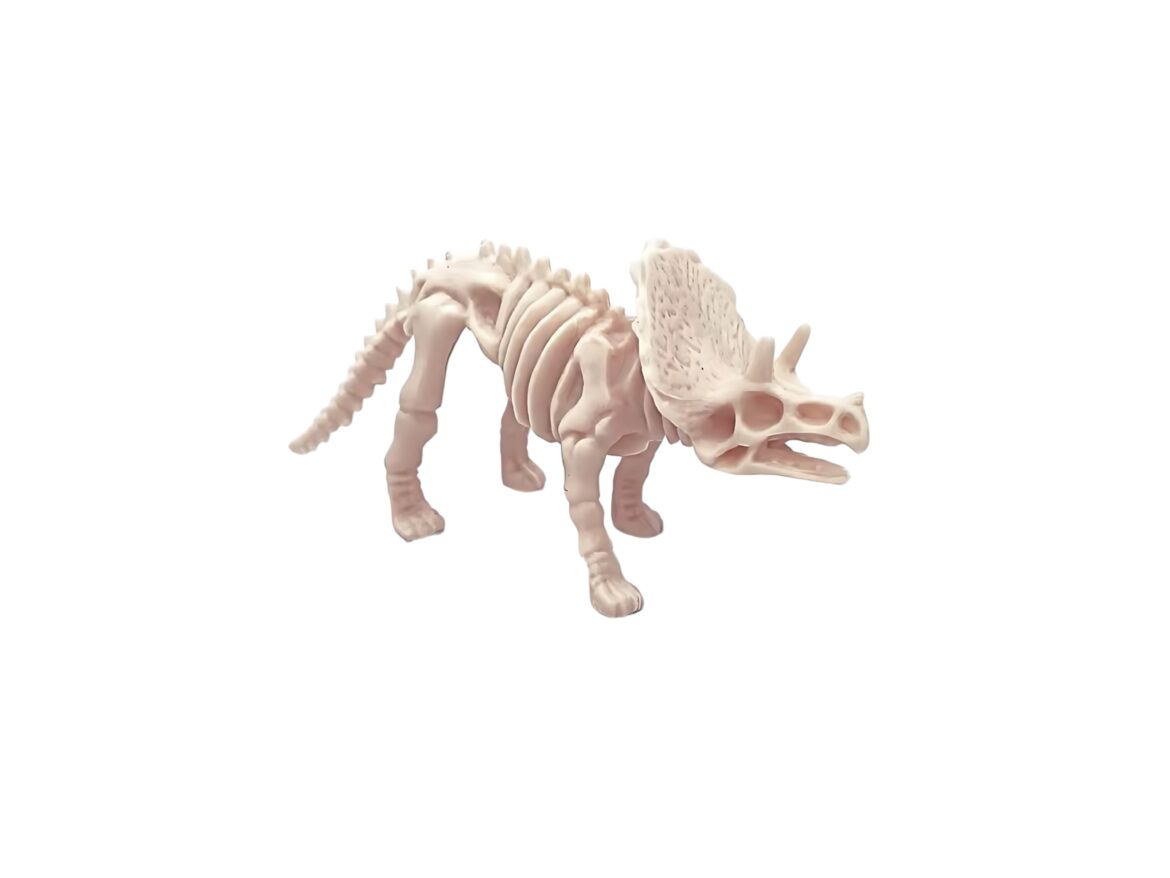 Kam priklauso teisės į dinozauro skeletą?