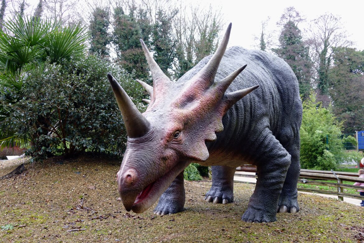 Triceratopsas: faktai apie trigarbio dinozauro gyvenimą ir laikus