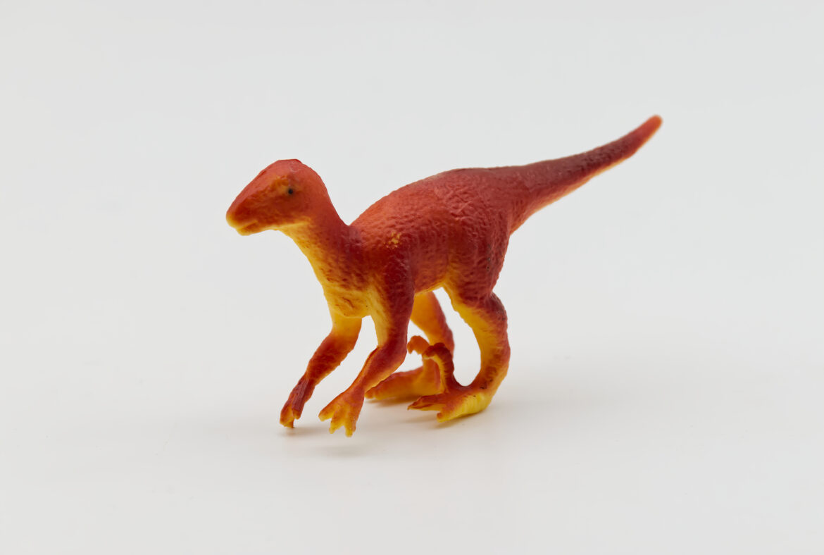 Troodonas: visaėdis dinozauras su didelėmis smegenimis